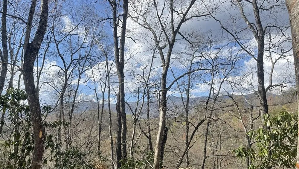 Copperhead Cove Sylva, NC 28779