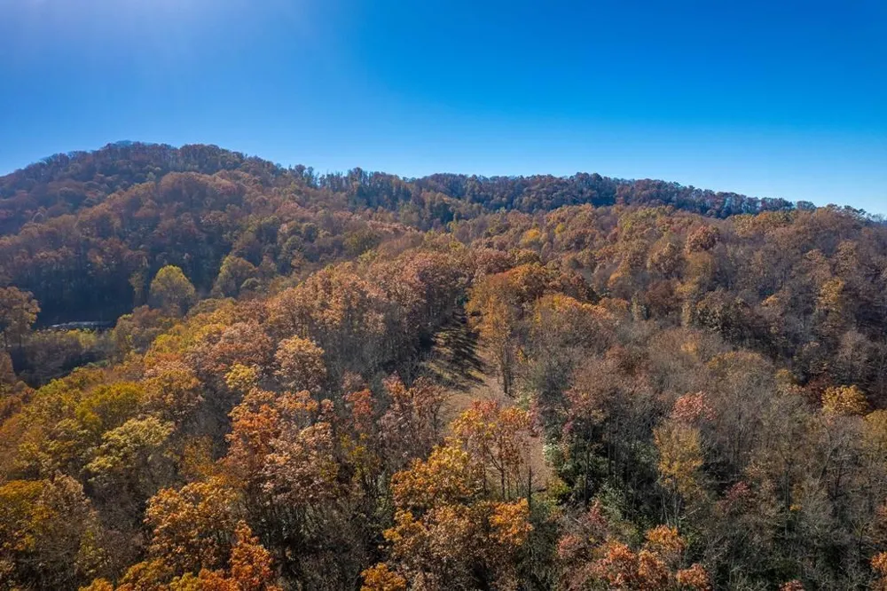 Copperhead Cove Sylva, NC 28779