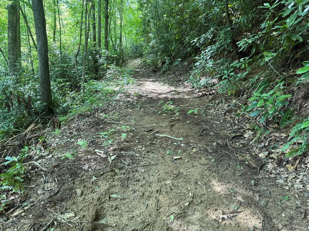Copperhead Cove Sylva, NC 28779