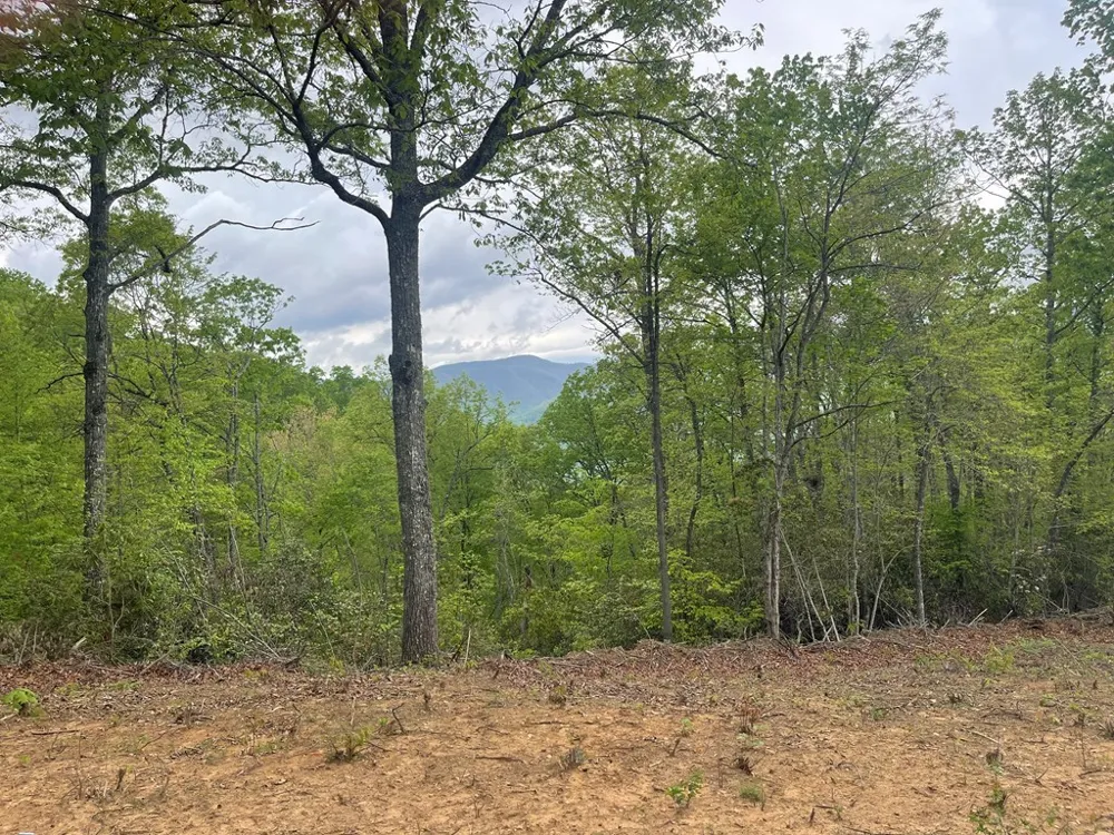 Copperhead Cove Sylva, NC 28779