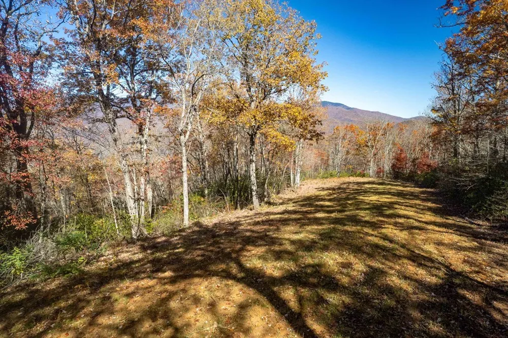 Copperhead Cove Sylva, NC 28779