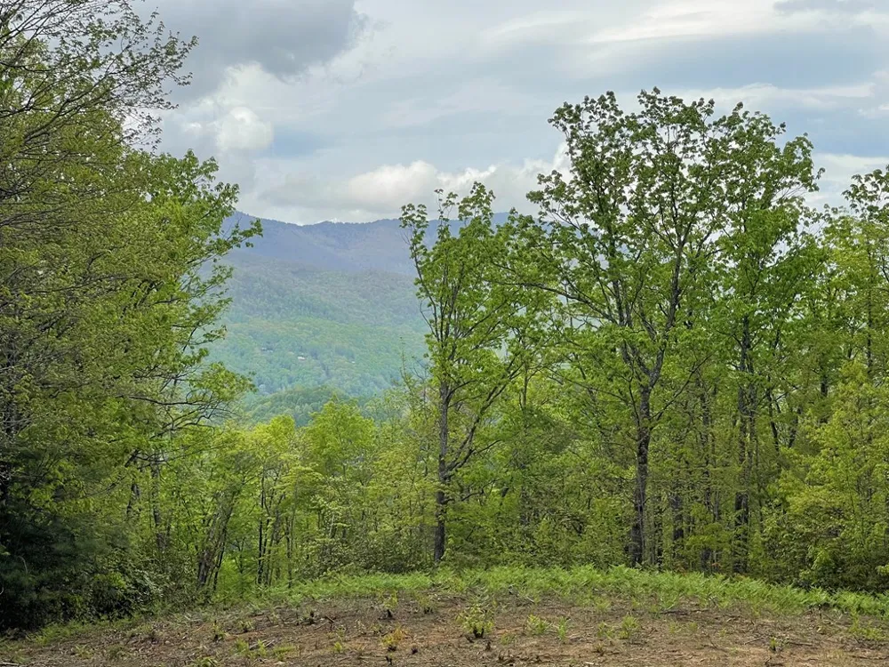 Copperhead Cove Sylva, NC 28779