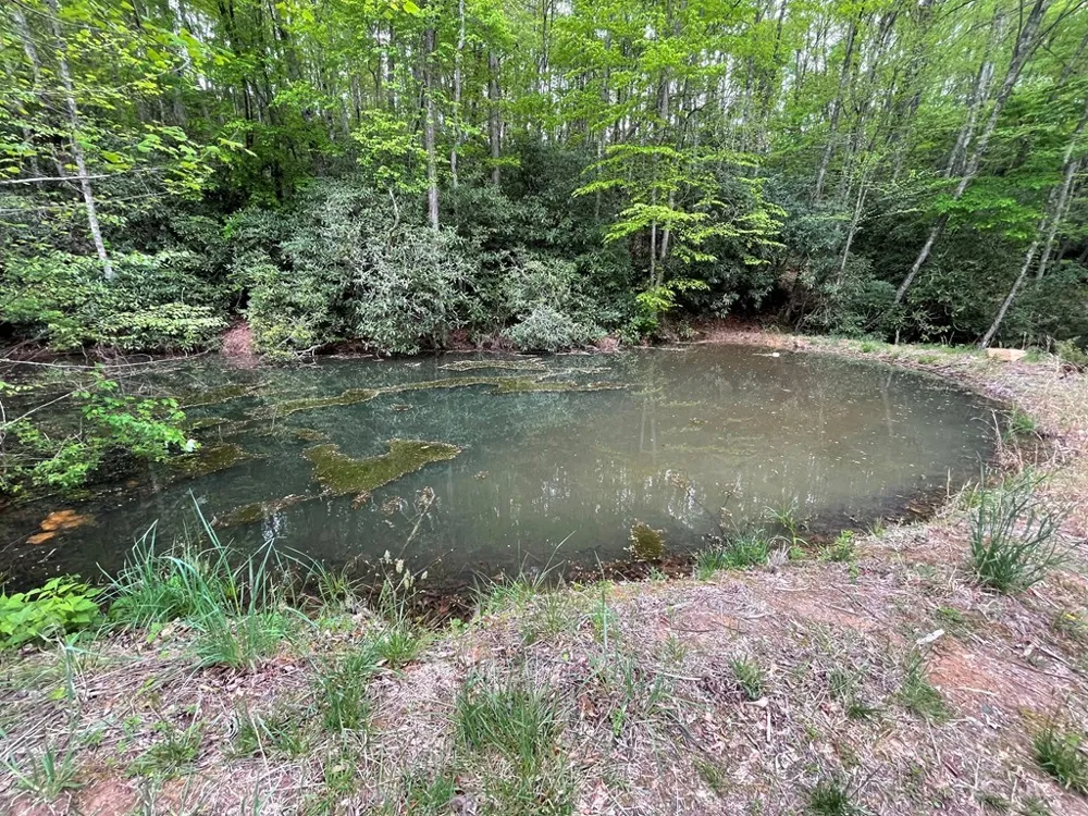 Copperhead Cove Sylva, NC 28779
