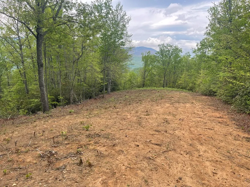 Copperhead Cove Sylva, NC 28779