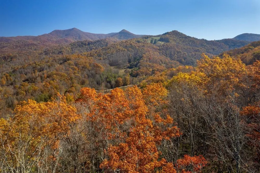 Copperhead Cove Sylva, NC 28779