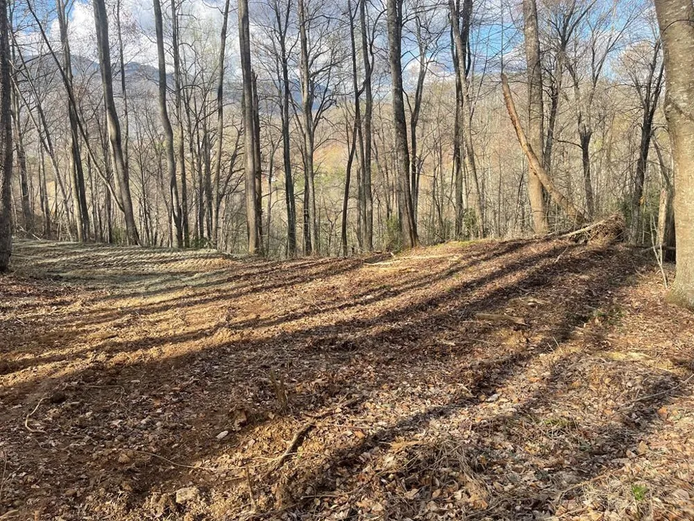 Copperhead Cove Sylva, NC 28779