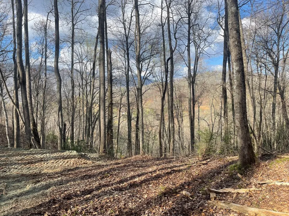 Copperhead Cove Sylva, NC 28779