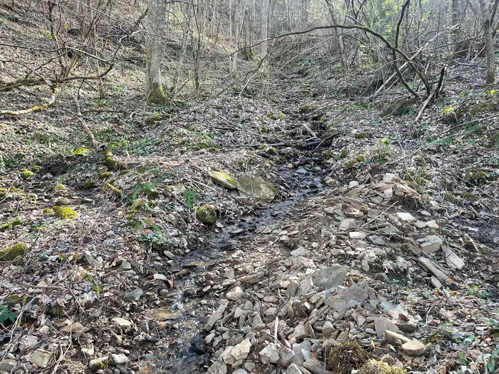 Copperhead Cove Sylva, NC 28779