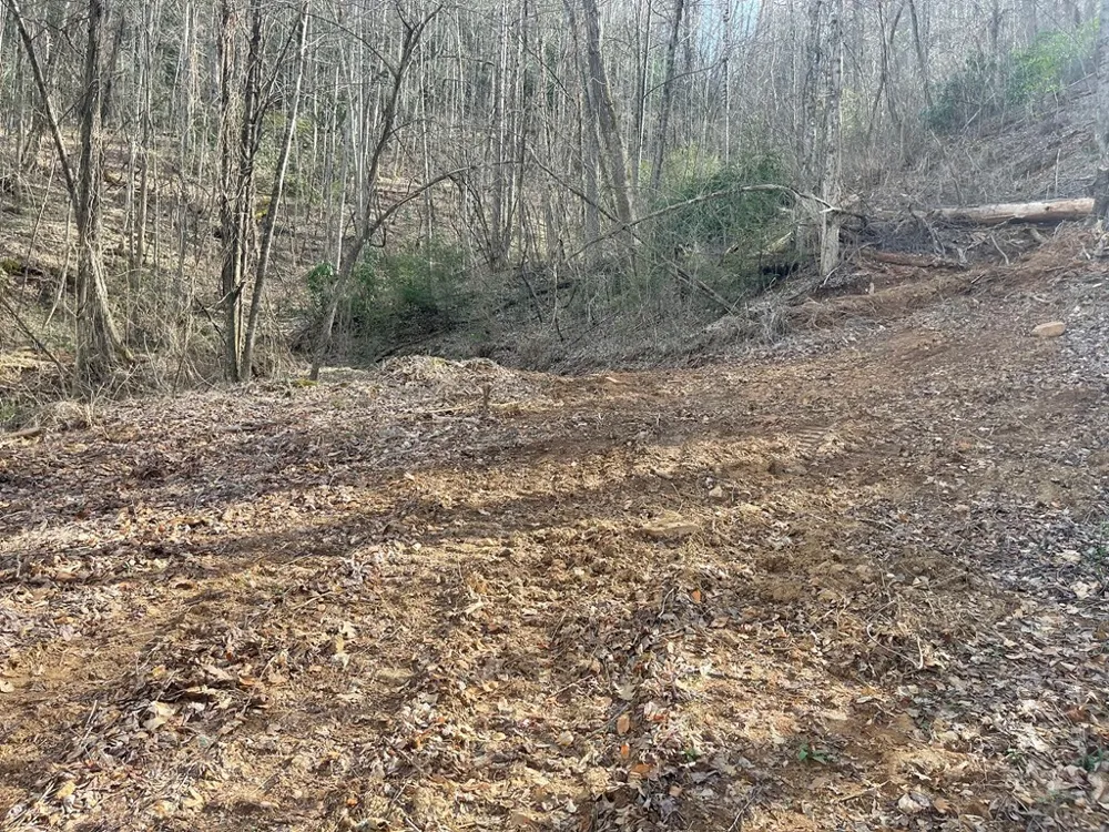 Copperhead Cove Sylva, NC 28779