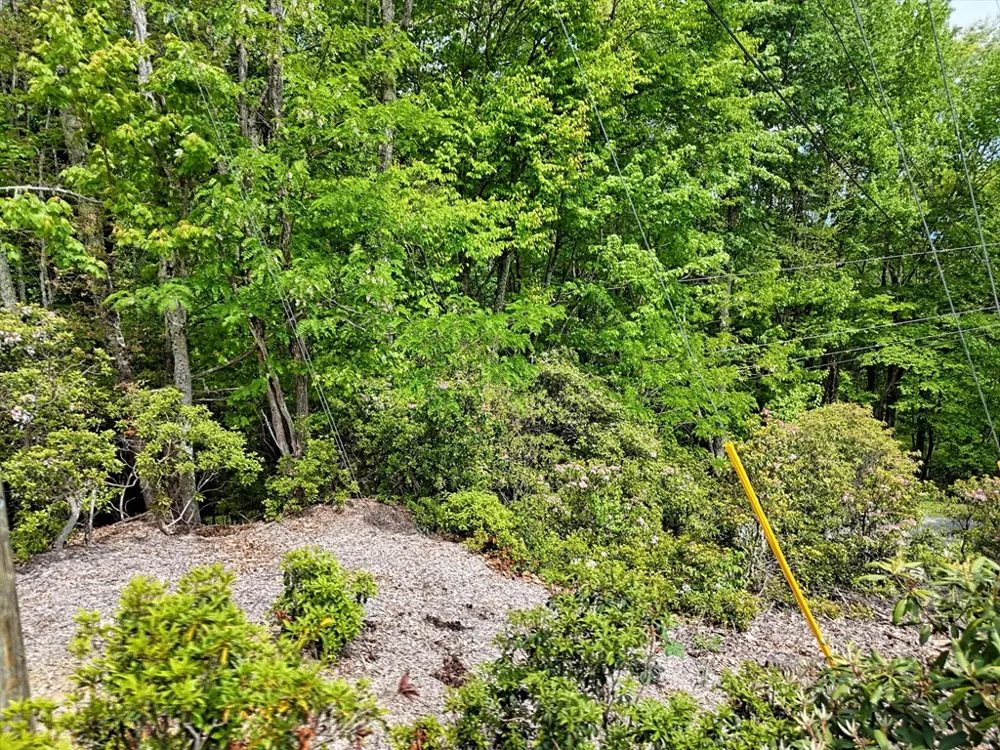 Leatherwood Road Maggie Valley, NC 28751