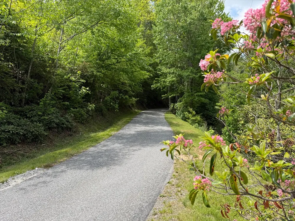 Leatherwood Road Maggie Valley, NC 28751