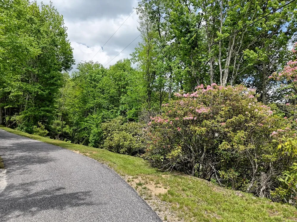 Leatherwood Road Maggie Valley, NC 28751