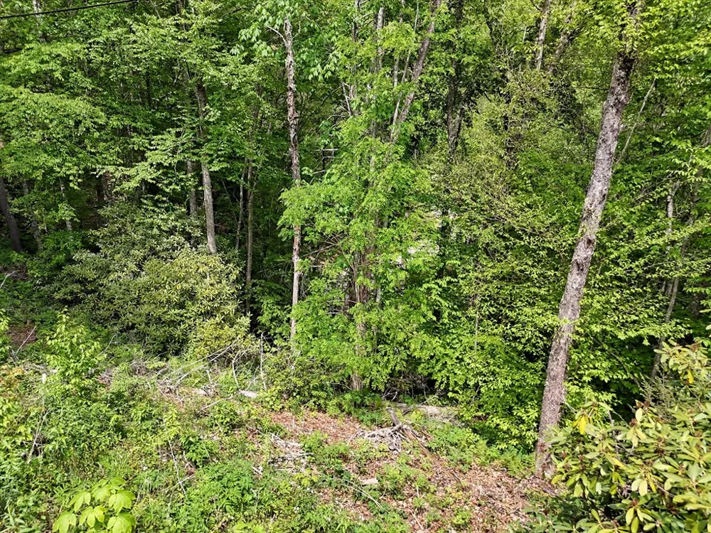 Leatherwood Road Maggie Valley, NC 28751