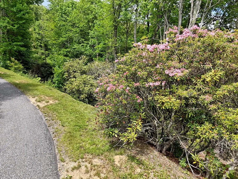 Leatherwood Road Maggie Valley, NC 28751