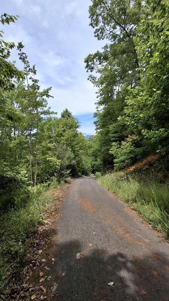 Kako Ridge Sylva, NC 28779