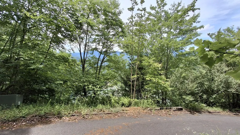 Kako Ridge Sylva, NC 28779