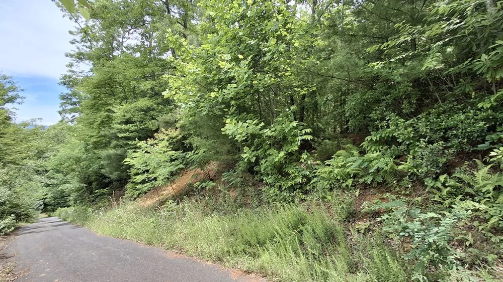 Kako Ridge Sylva, NC 28779