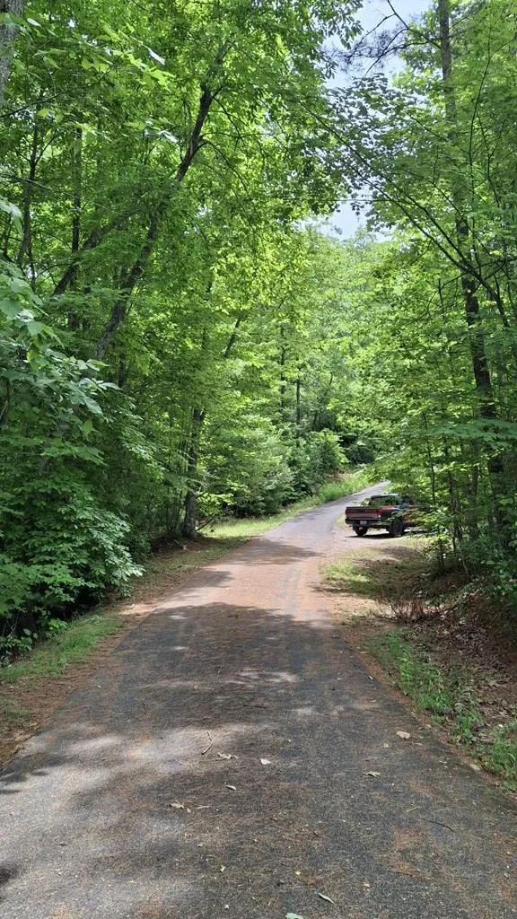 Kako Ridge Sylva, NC 28779