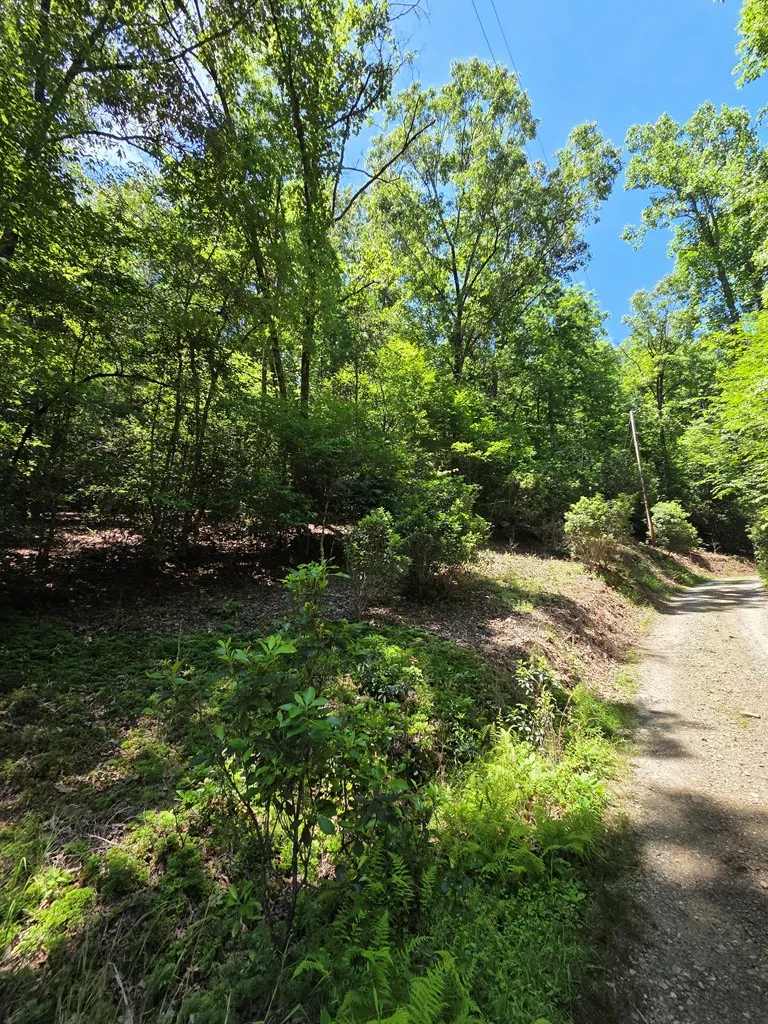 LOT 1 MATLOCK HILLS Franklin, NC 28734