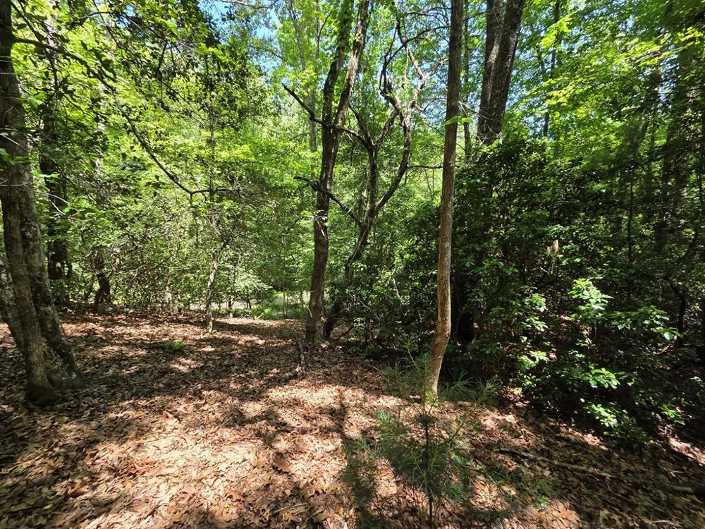 LOT 1 MATLOCK HILLS Franklin, NC 28734