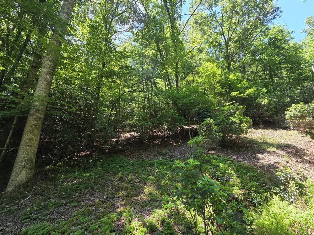 LOT 1 MATLOCK HILLS Franklin, NC 28734