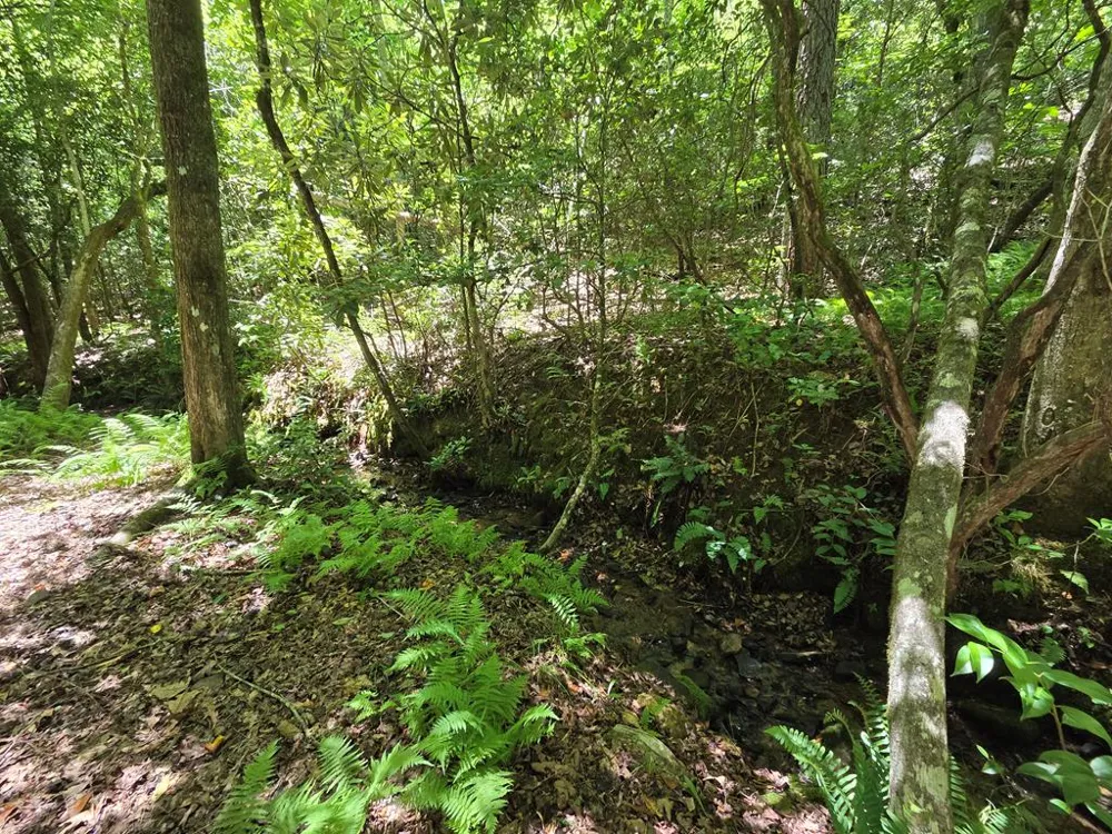 LOT 1 MATLOCK HILLS Franklin, NC 28734