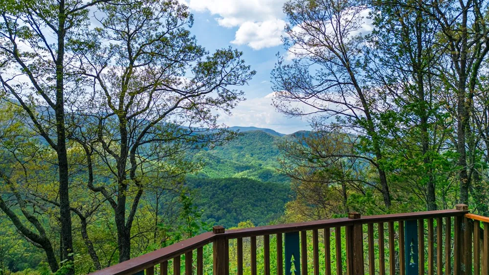 Forest Run Road Sylva, NC 28789