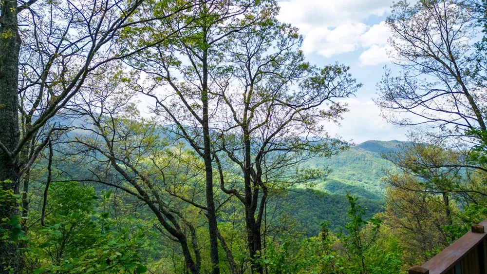 Forest Run Road Sylva, NC 28789