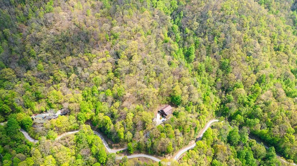 Forest Run Road Sylva, NC 28789