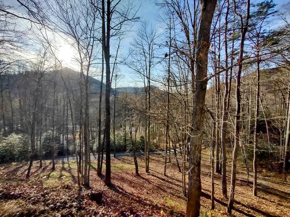 Lower Creek Crossing Bryson City, NC 28713