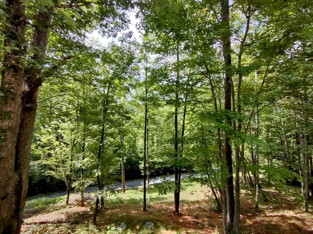 Lower Creek Crossing Bryson City, NC 28713