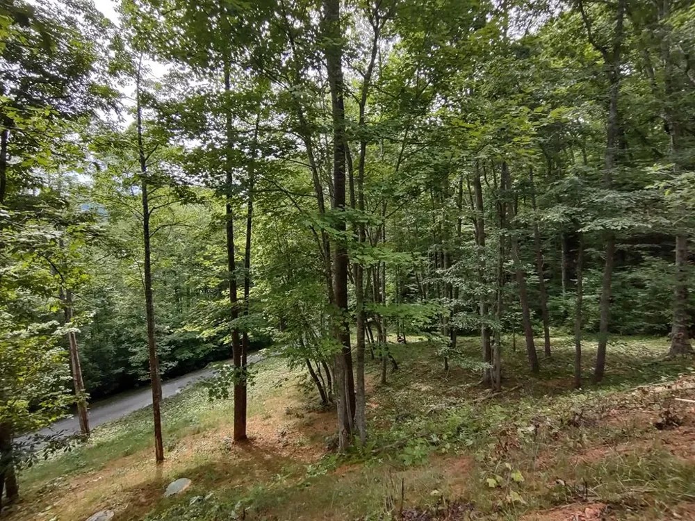 Lower Creek Crossing Bryson City, NC 28713
