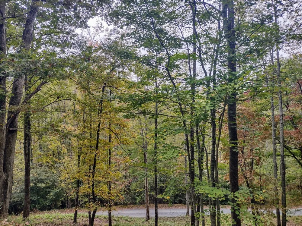 Lower Creek Crossing Bryson City, NC 28713