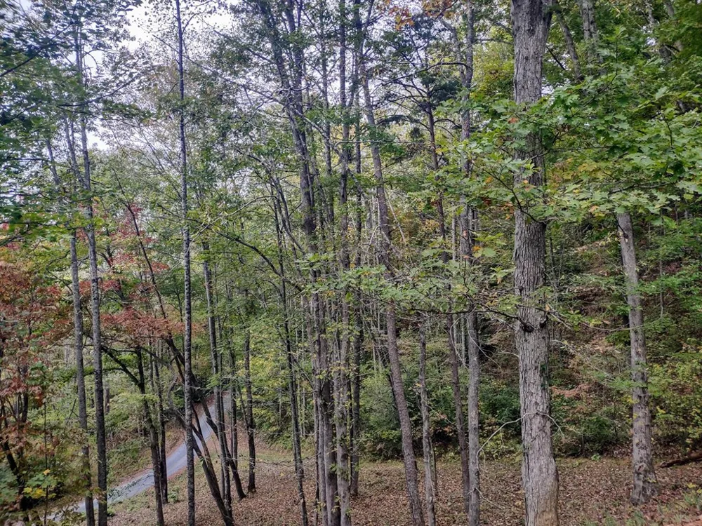 Lower Creek Crossing Bryson City, NC 28713