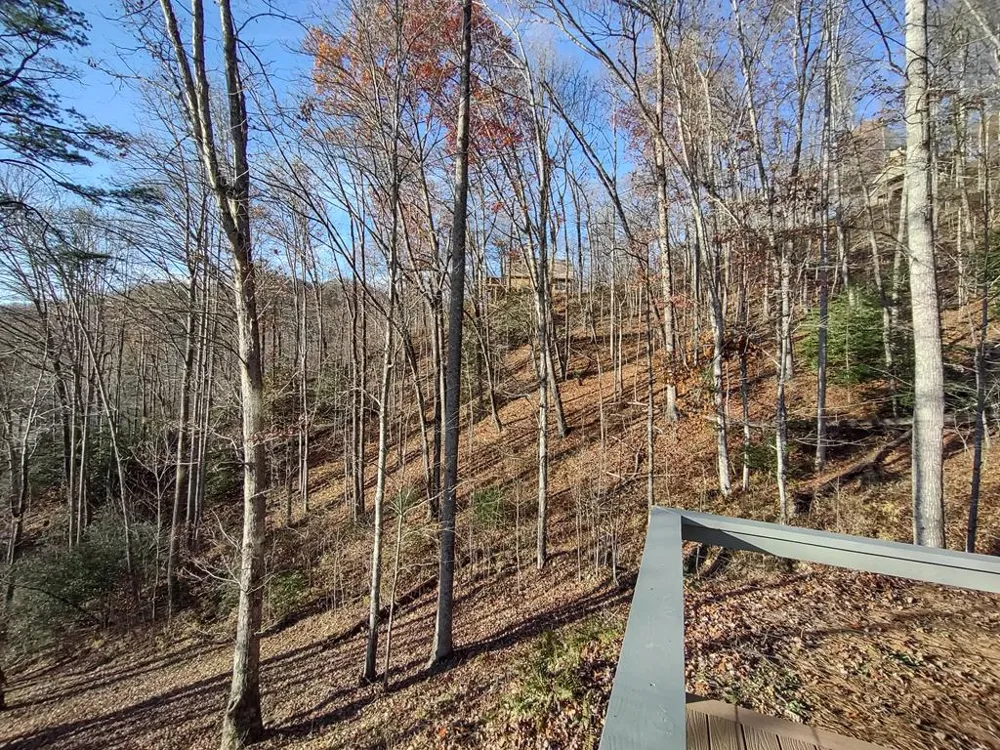 Lower Creek Crossing Bryson City, NC 28713