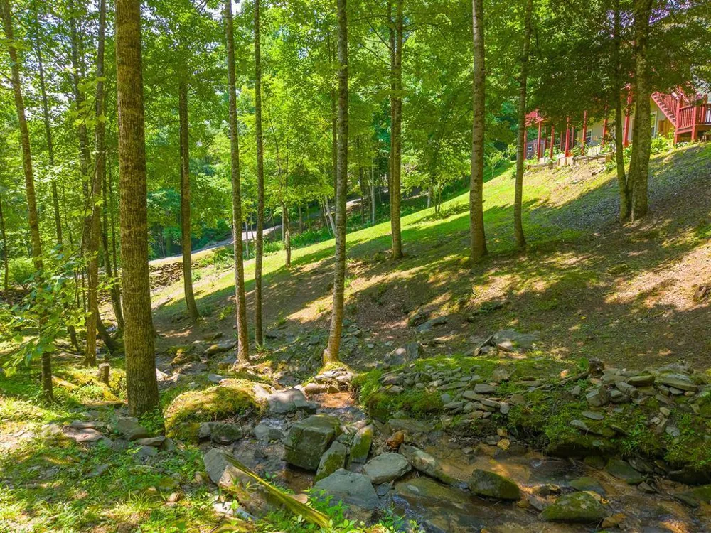 Pigeon Creek Trail Bryson City, NC 28713