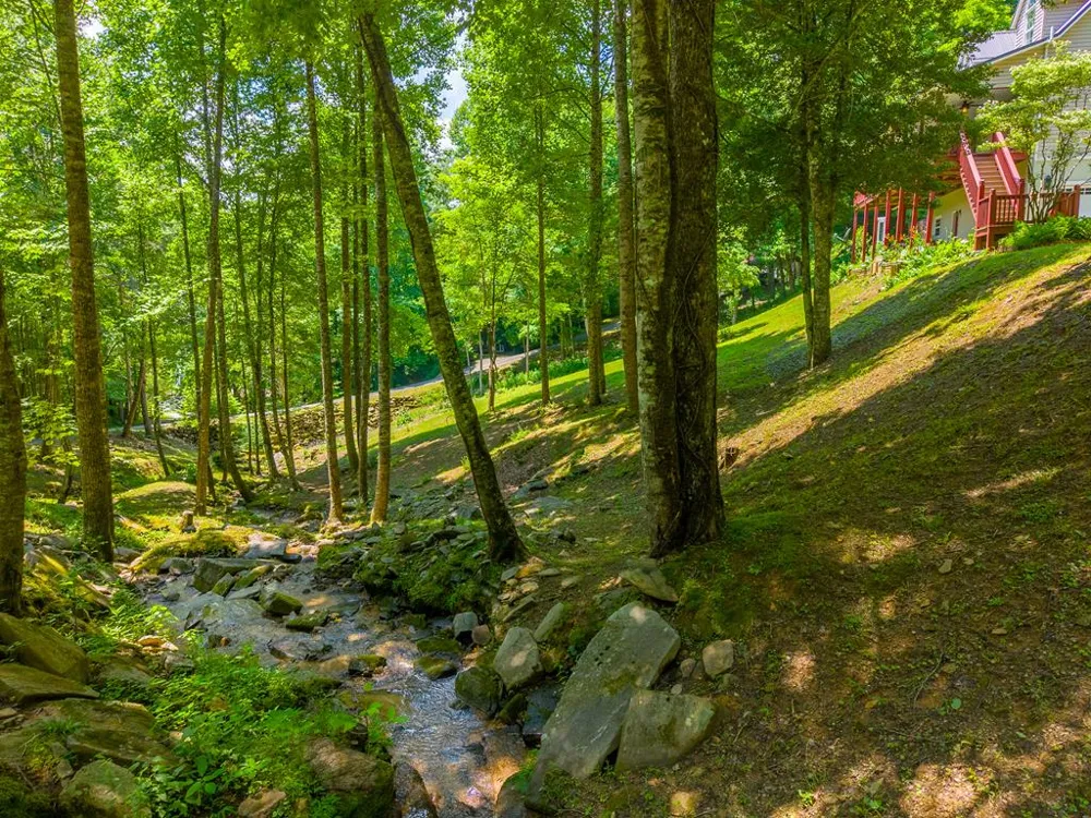 Pigeon Creek Trail Bryson City, NC 28713