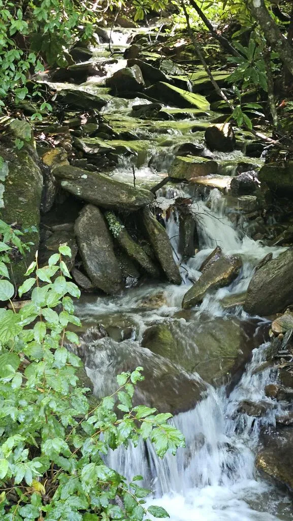 Pigeon Creek Trail Bryson City, NC 28713