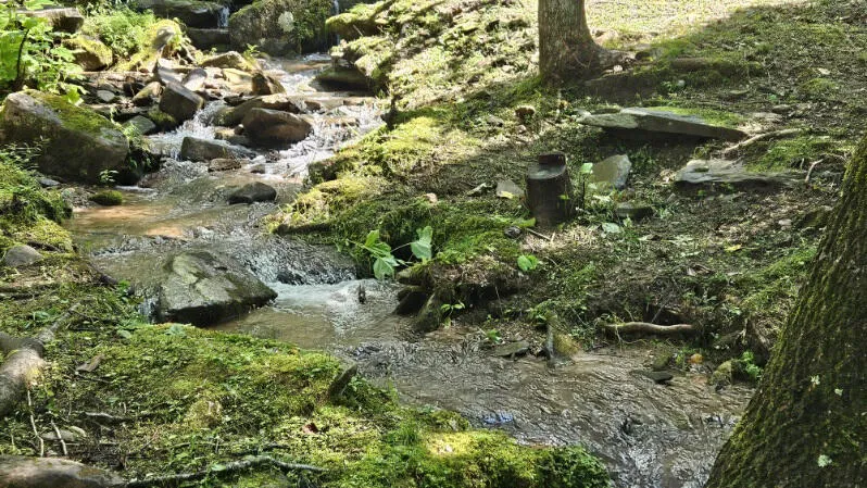Pigeon Creek Trail Bryson City, NC 28713