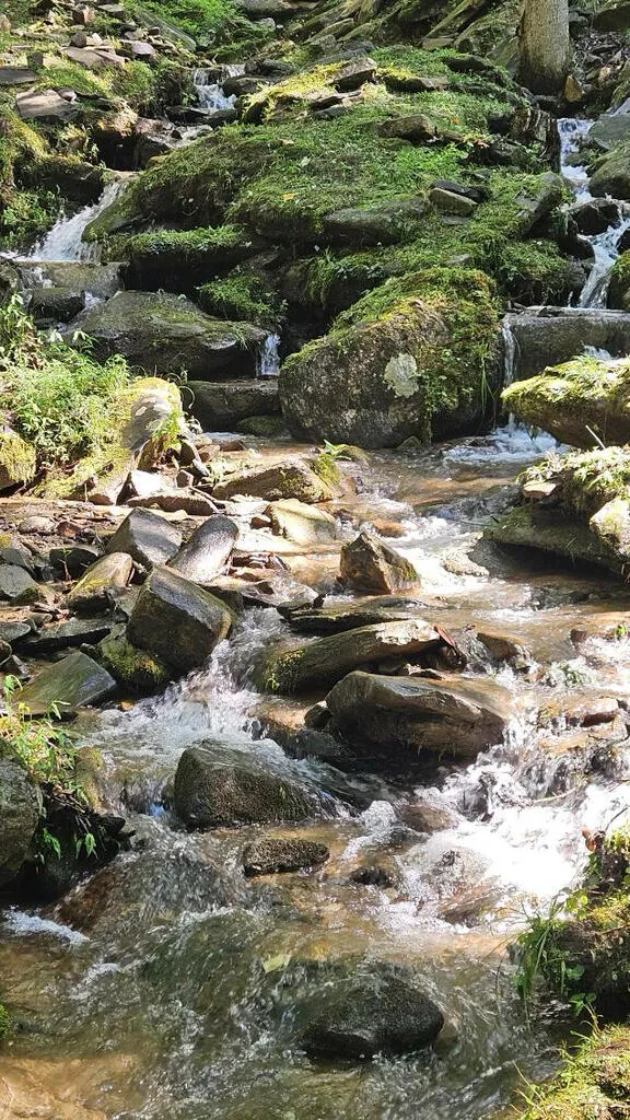 Pigeon Creek Trail Bryson City, NC 28713