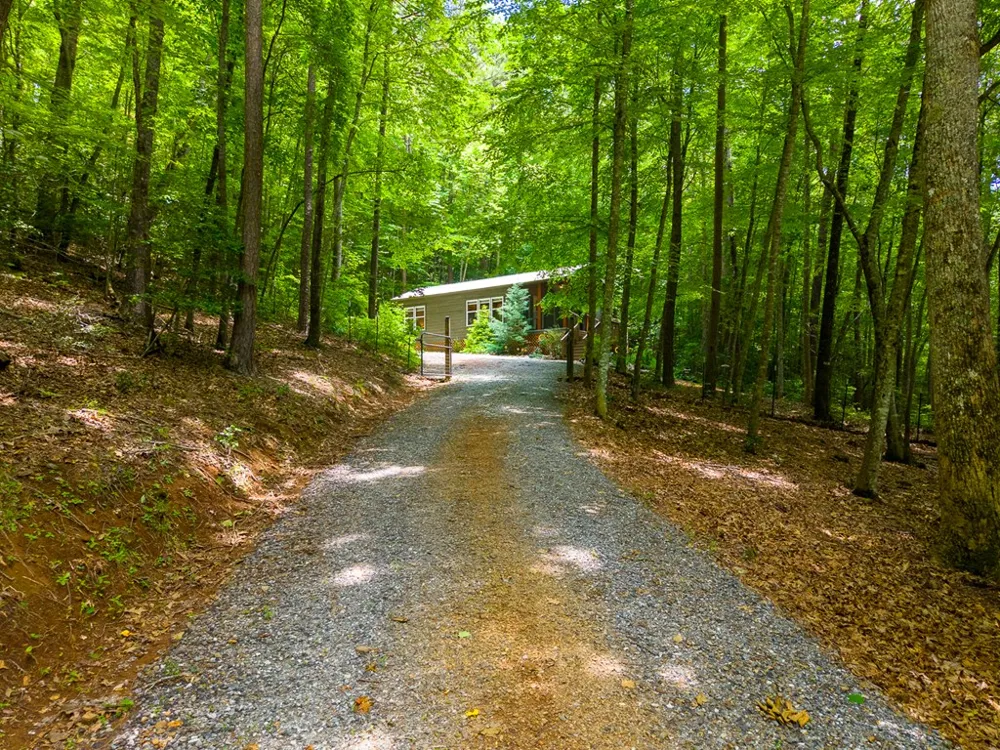Jonquil Woods Franklin, NC 28734