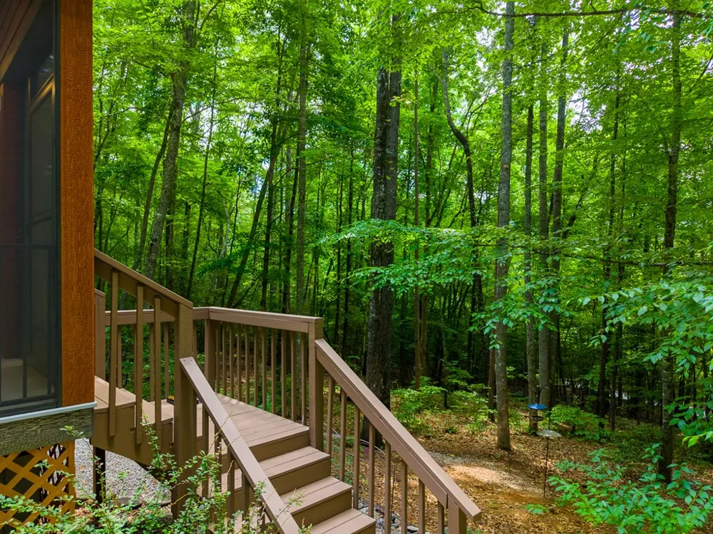 Jonquil Woods Franklin, NC 28734