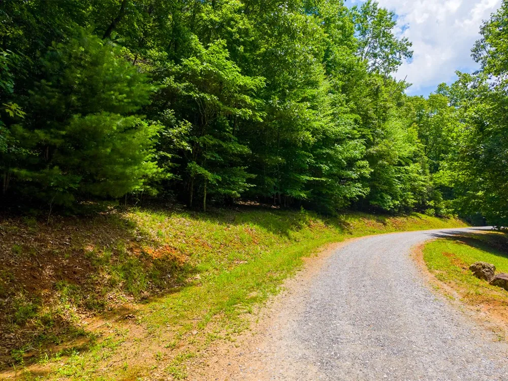Jonquil Woods Franklin, NC 28734