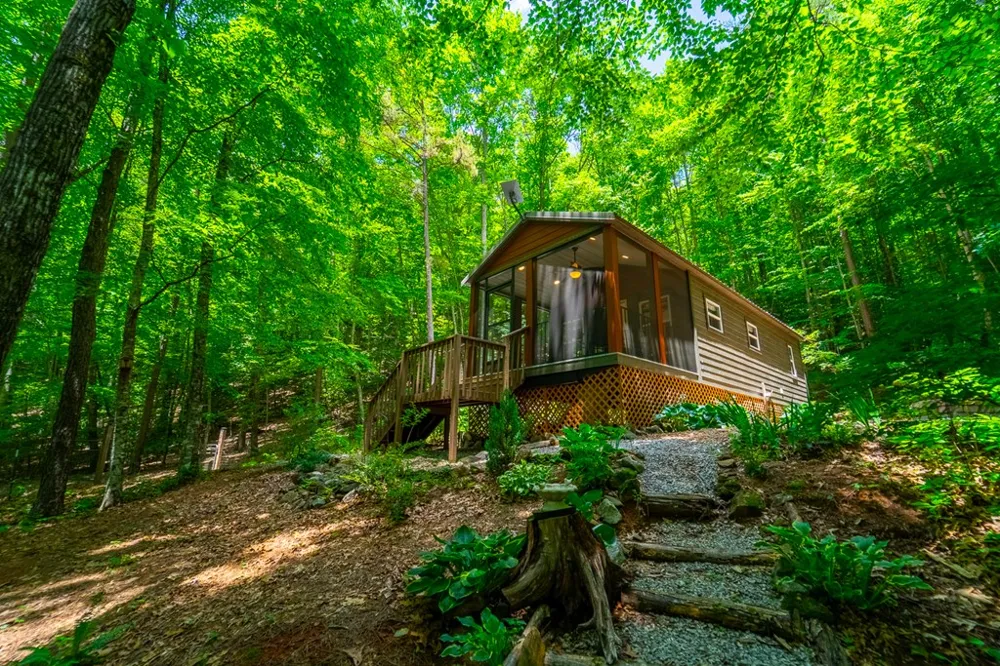 Jonquil Woods Franklin, NC 28734