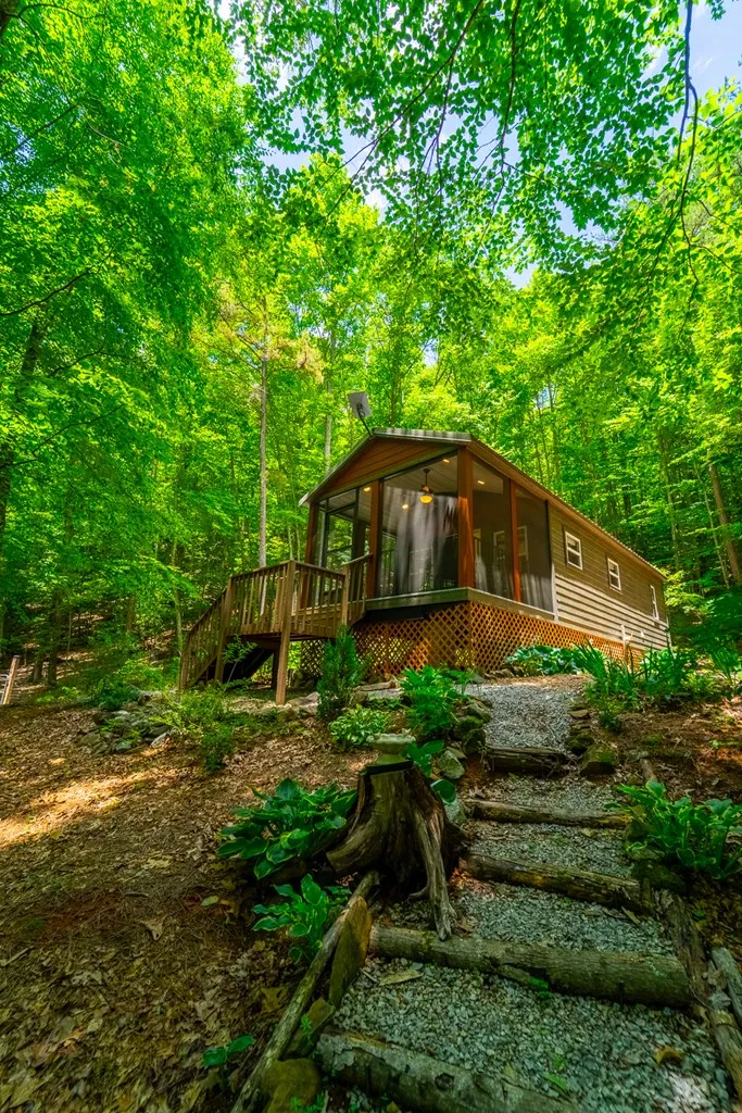 Jonquil Woods Franklin, NC 28734