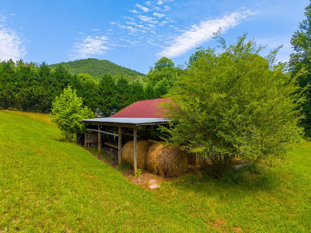 Ned Hill Rd Franklin, NC 28734