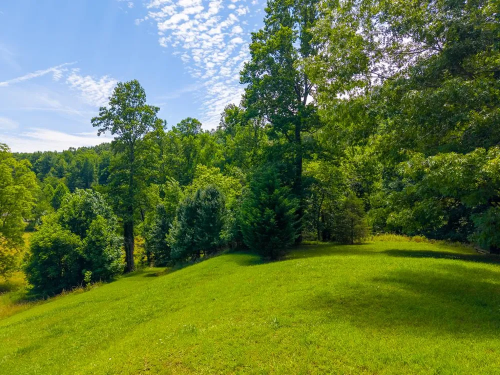 Ned Hill Rd Franklin, NC 28734