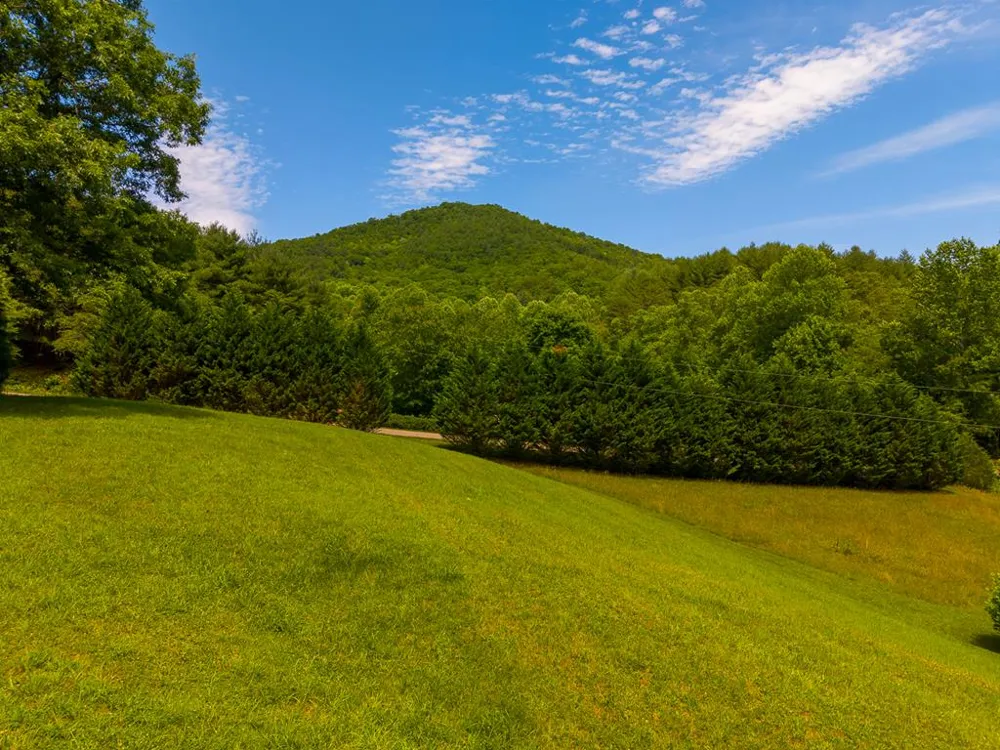 Ned Hill Rd Franklin, NC 28734