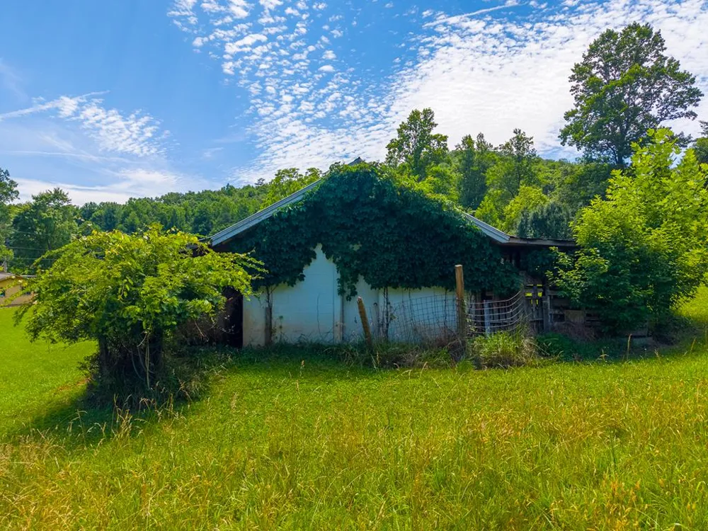 Ned Hill Rd Franklin, NC 28734
