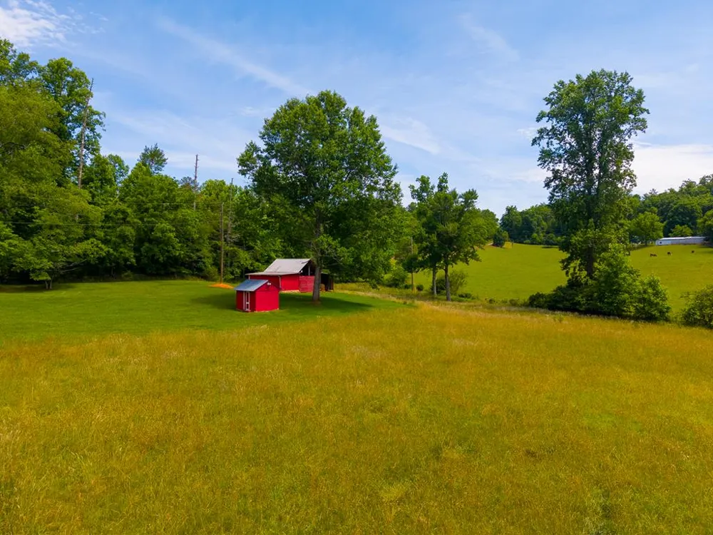 Ned Hill Rd Franklin, NC 28734